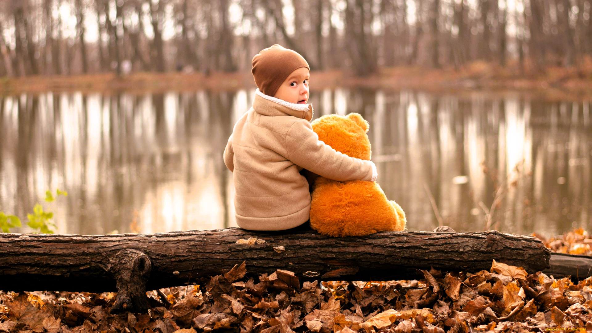 разное, дети, мальчик, куртка, шапка, мишка, бревно, листья, озеро, деревья, осень