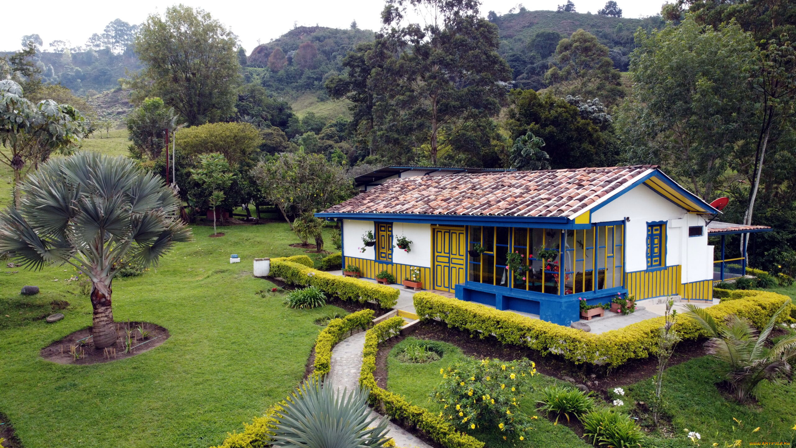 города, -, здания, , дома, пальмы, жилой, дом, лужайка