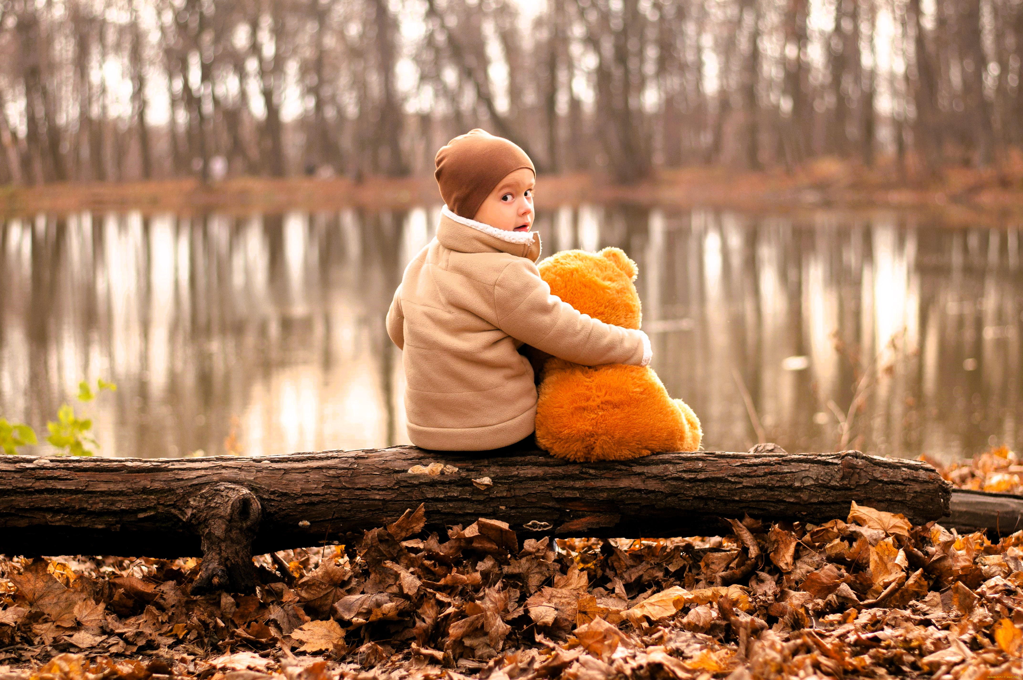 разное, дети, мальчик, куртка, шапка, мишка, бревно, листья, озеро, деревья, осень