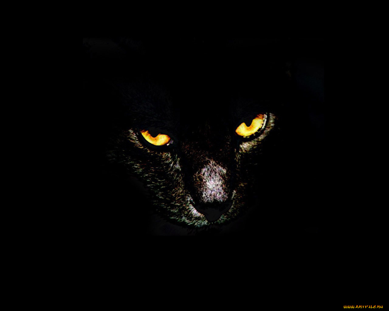 рисованные, животные, коты