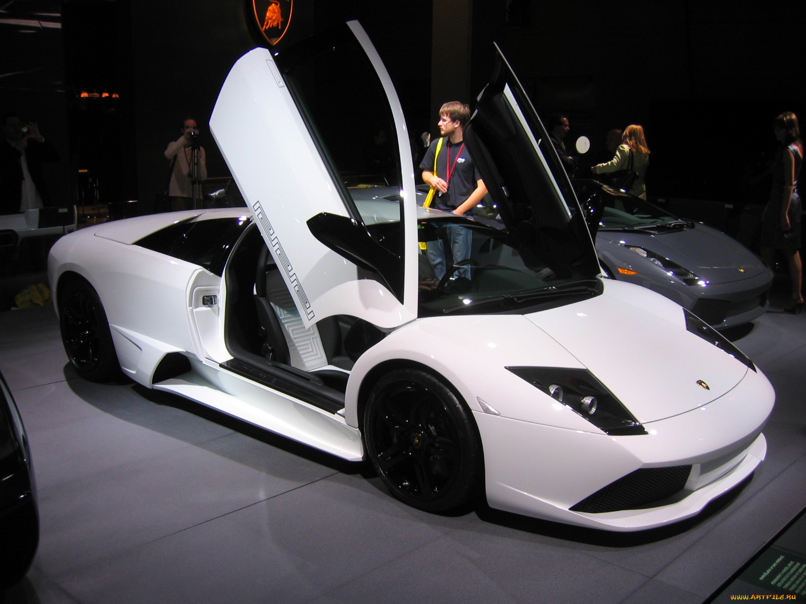 lamborghini, murcielago, lp640, автомобили, выставки, уличные, фото