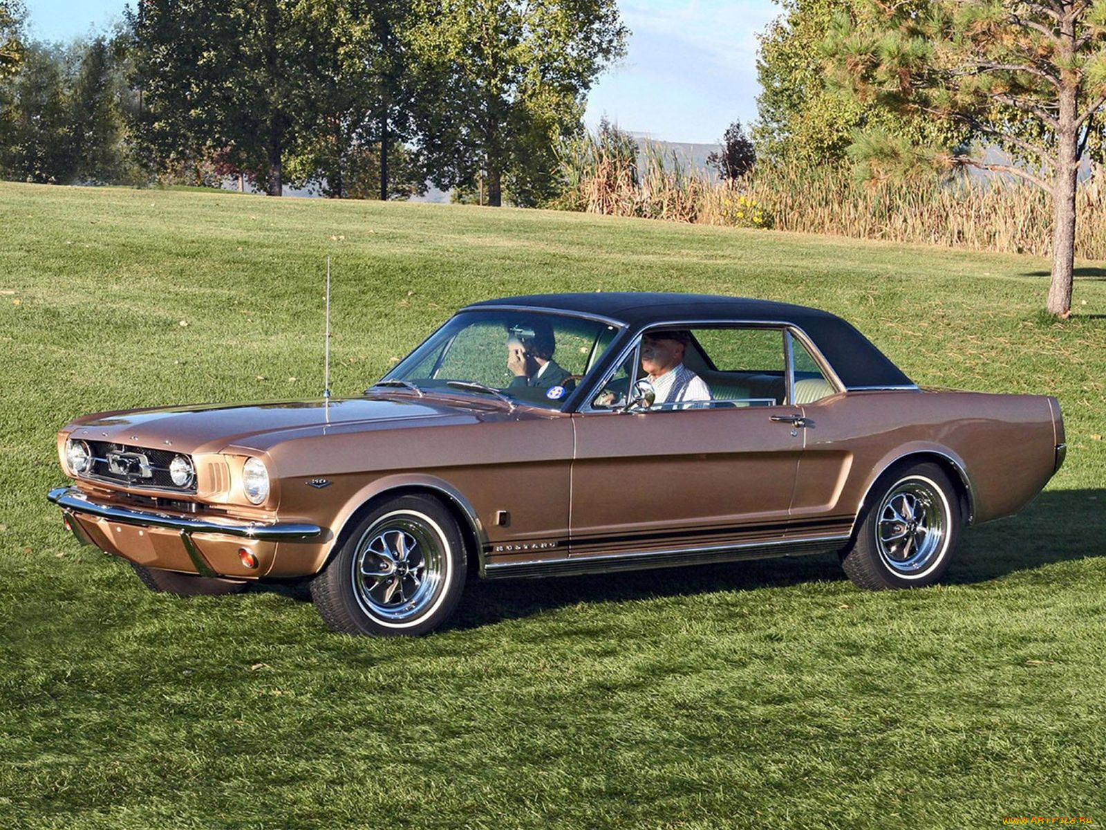 автомобили, mustang