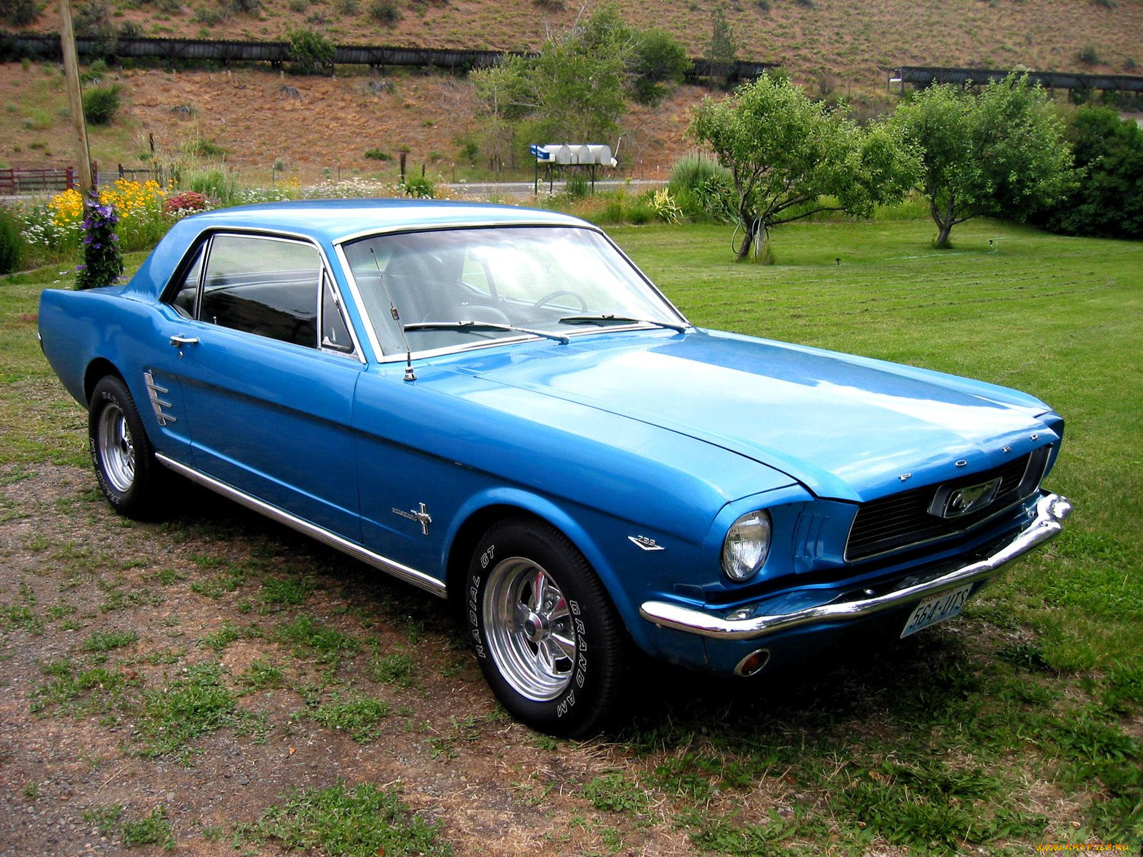 автомобили, mustang