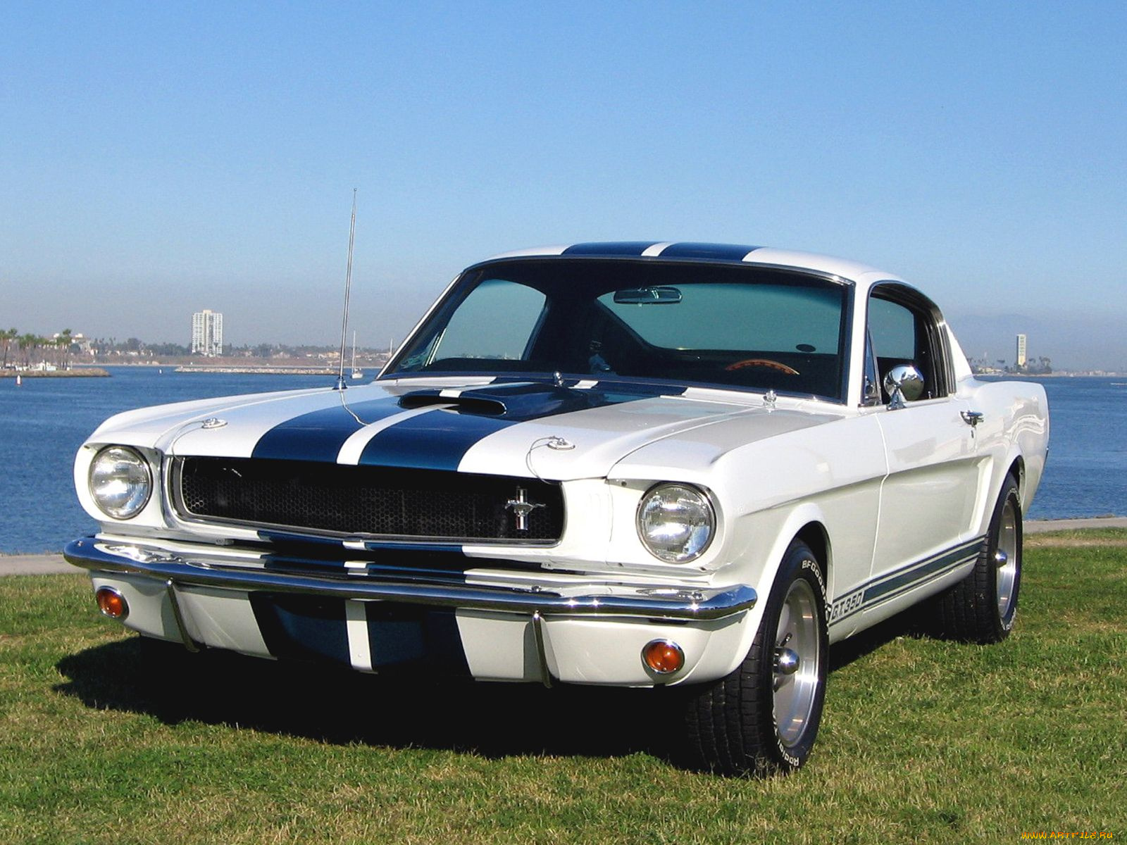 автомобили, mustang