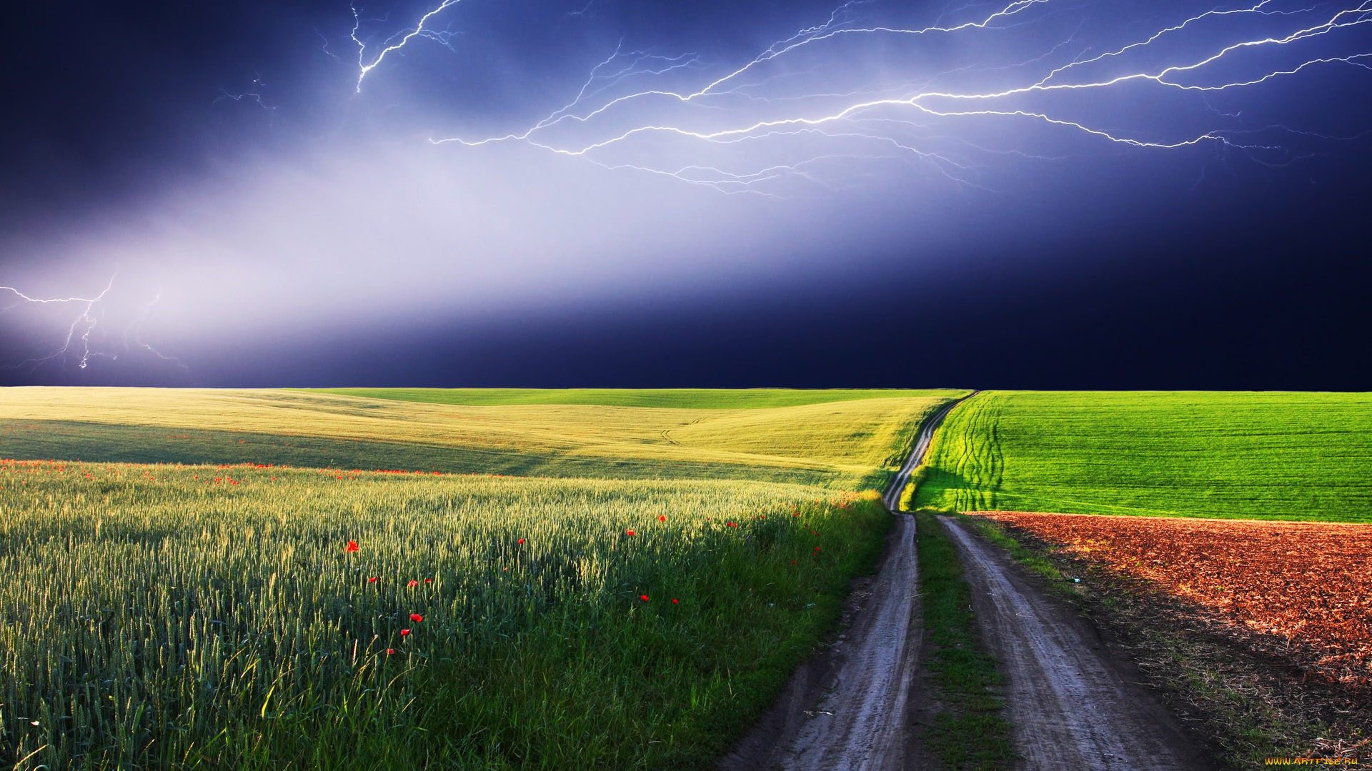 природа, молния, гроза