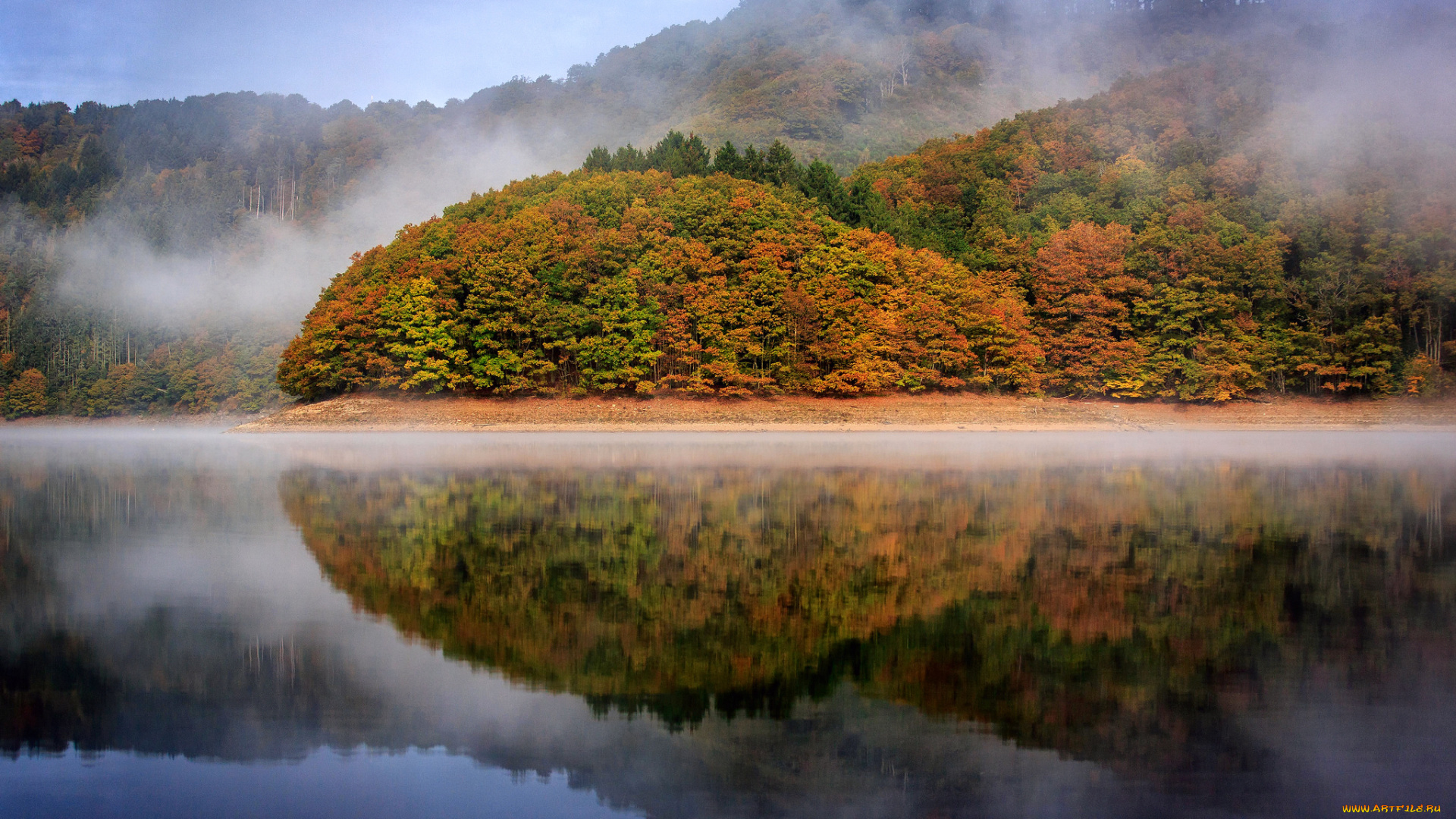 природа, реки, озера, трава, деревья, лес, олень, осень