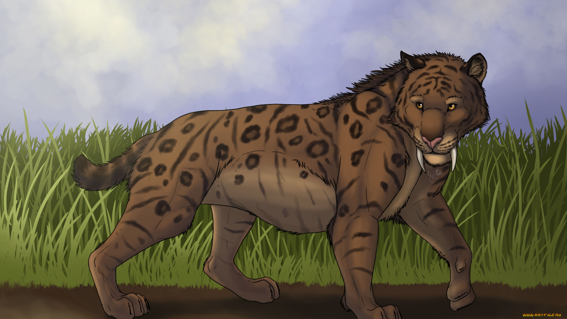 рисованные, животные, , тигры, тигр