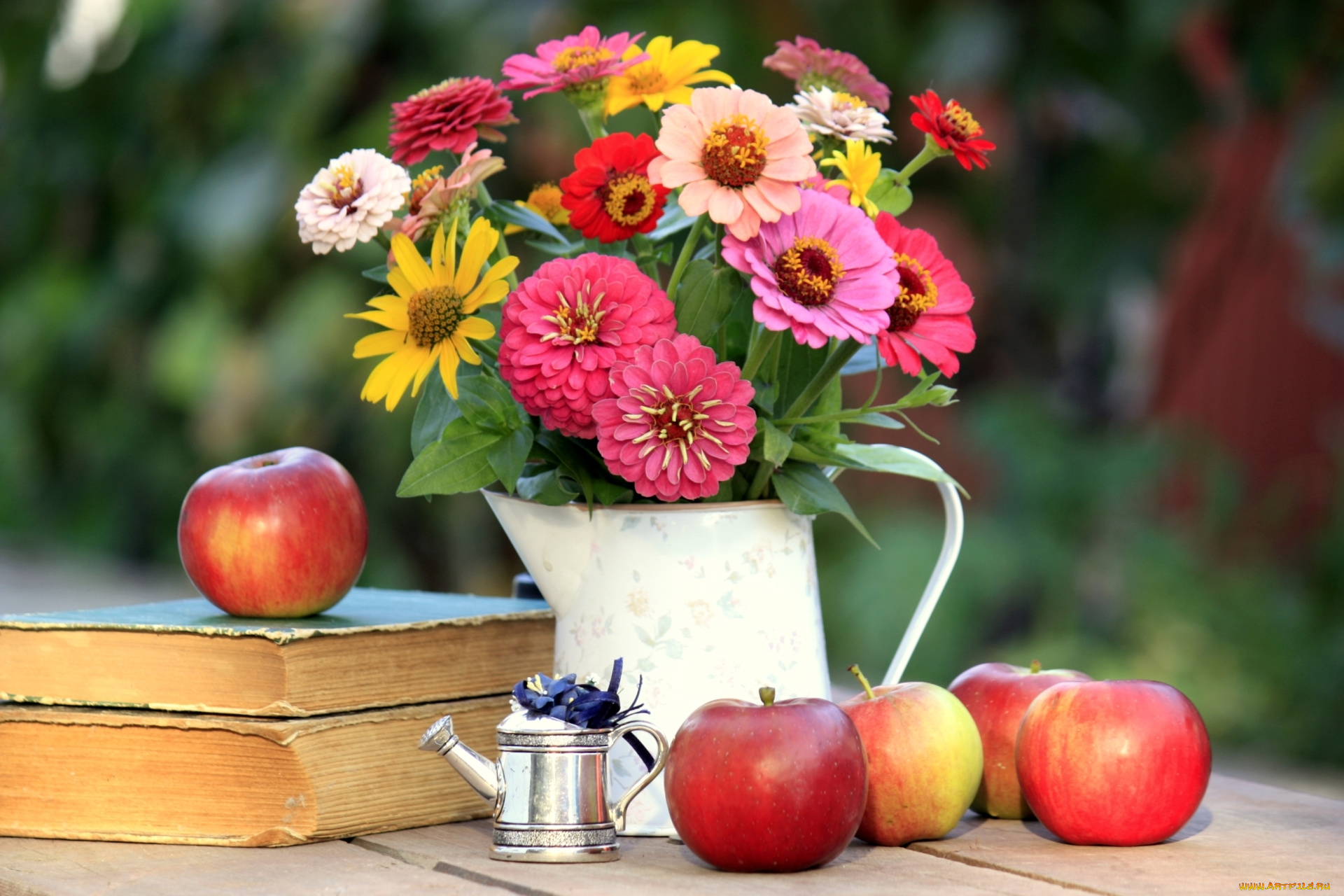 еда, Яблоки, цинния, яблоки, букет