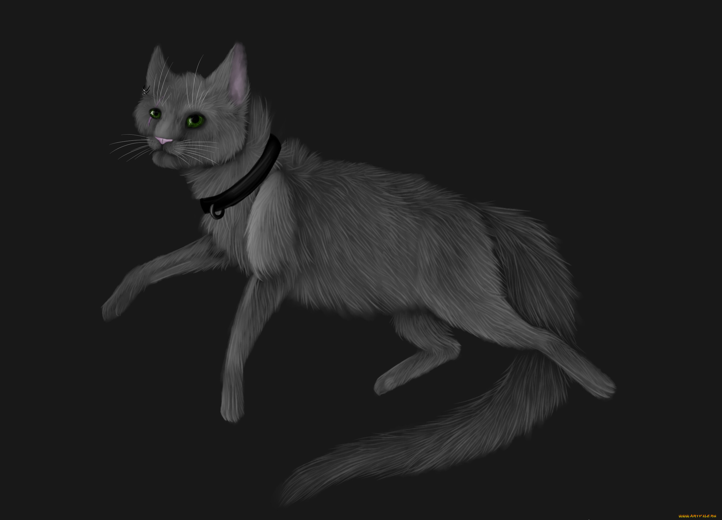 рисованные, животные, , коты, кот, фон, взгляд