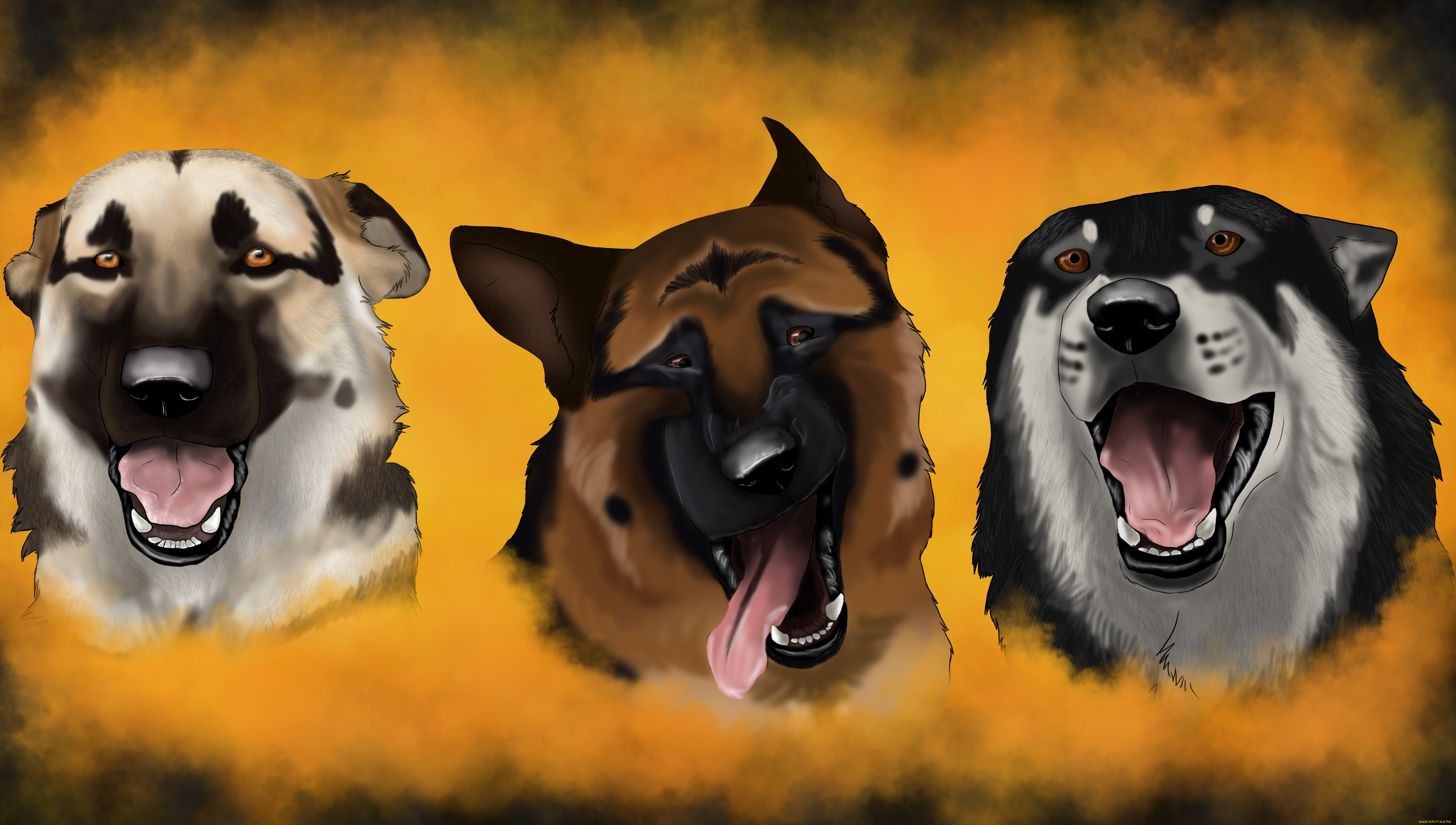 рисованные, животные, , собаки, морды