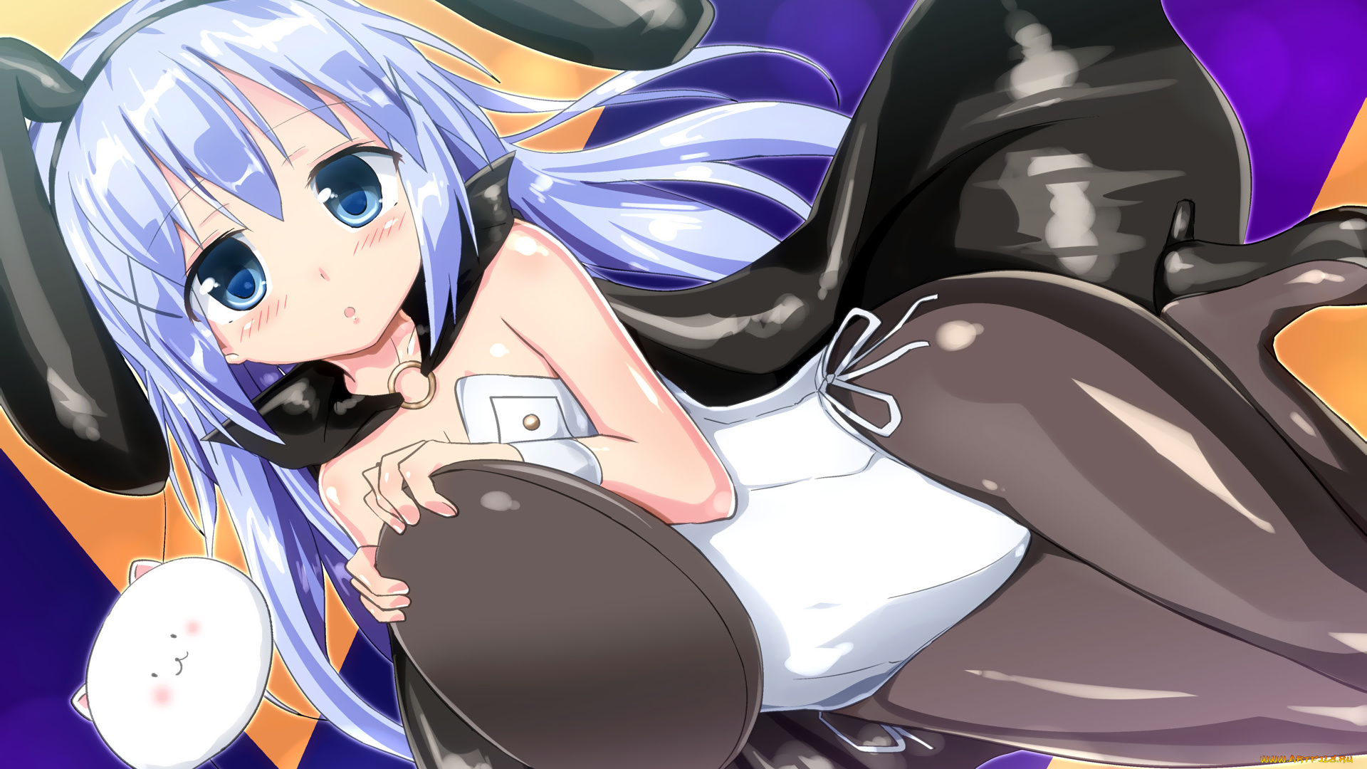 аниме, unknown, , другое, взгляд, девушка, кролик, поднос, ушки, котик, фон