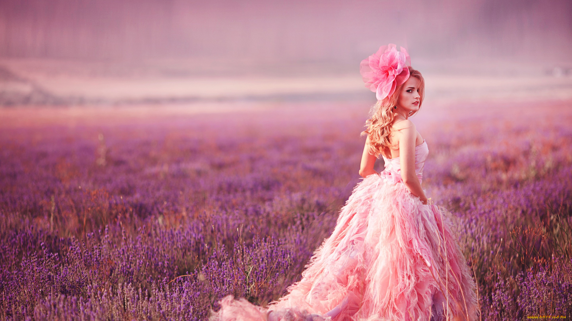 девушки, -unsort, , блондинки, лаванда, луг, бант, платье, взгляд, модель