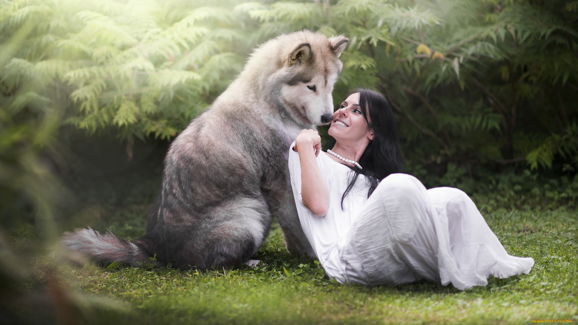 девушки, -unsort, , брюнетки, , шатенки, девушка, собака