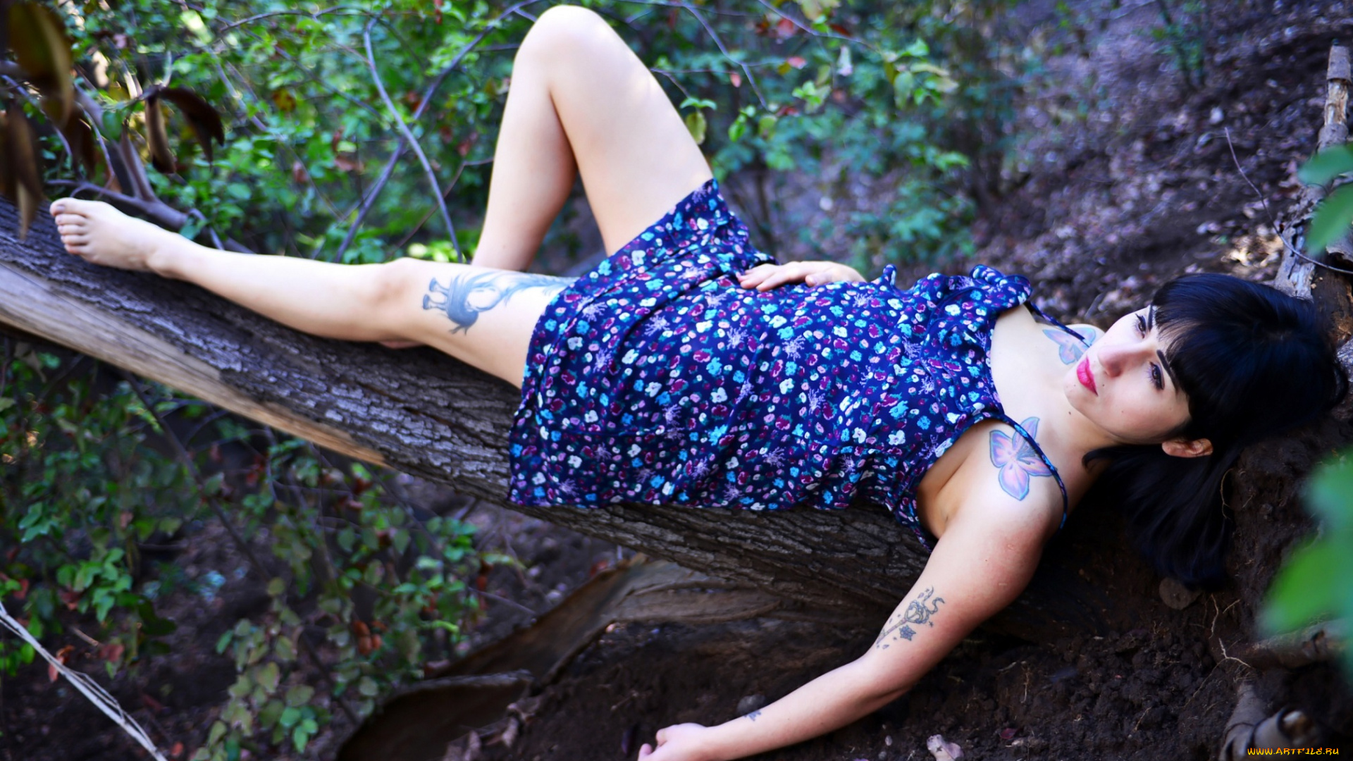 девушки, -unsort, , брюнетки, , шатенки, девушка, поза, природа