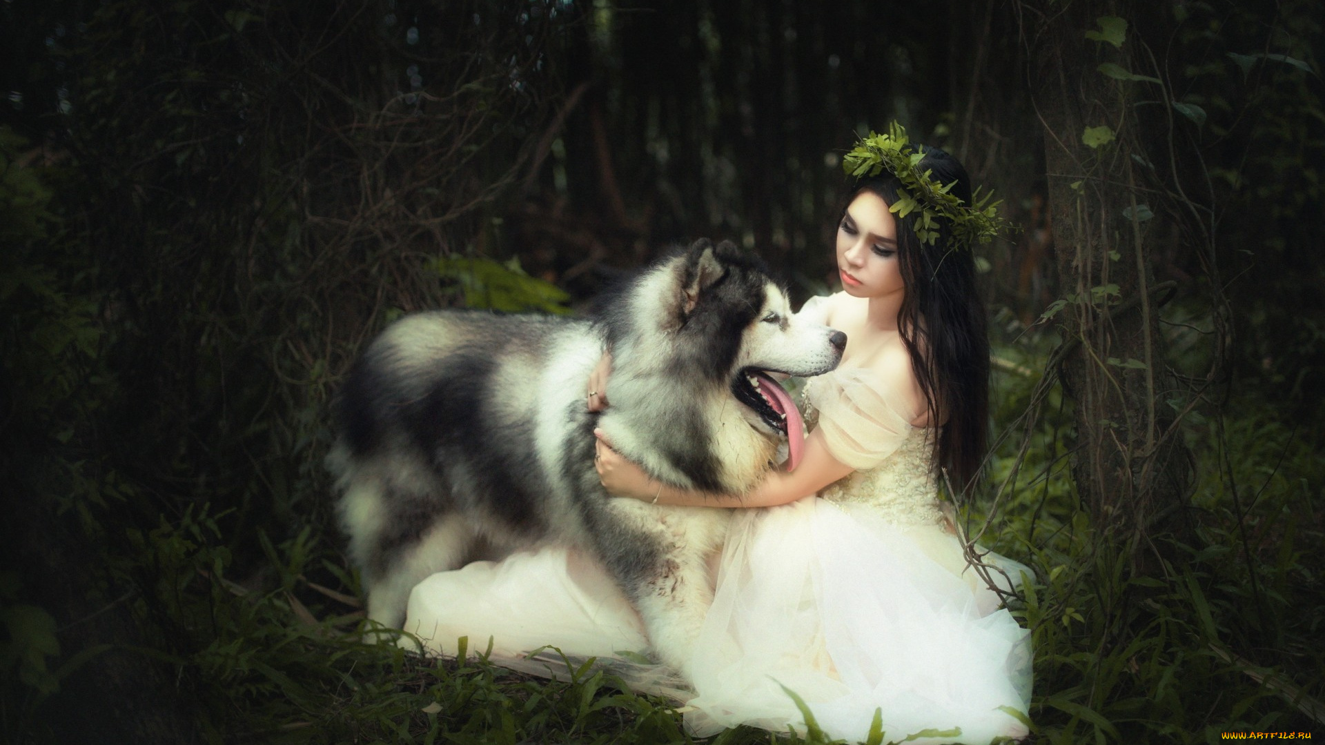 девушки, -unsort, , брюнетки, , шатенки, собака, девушка, фон