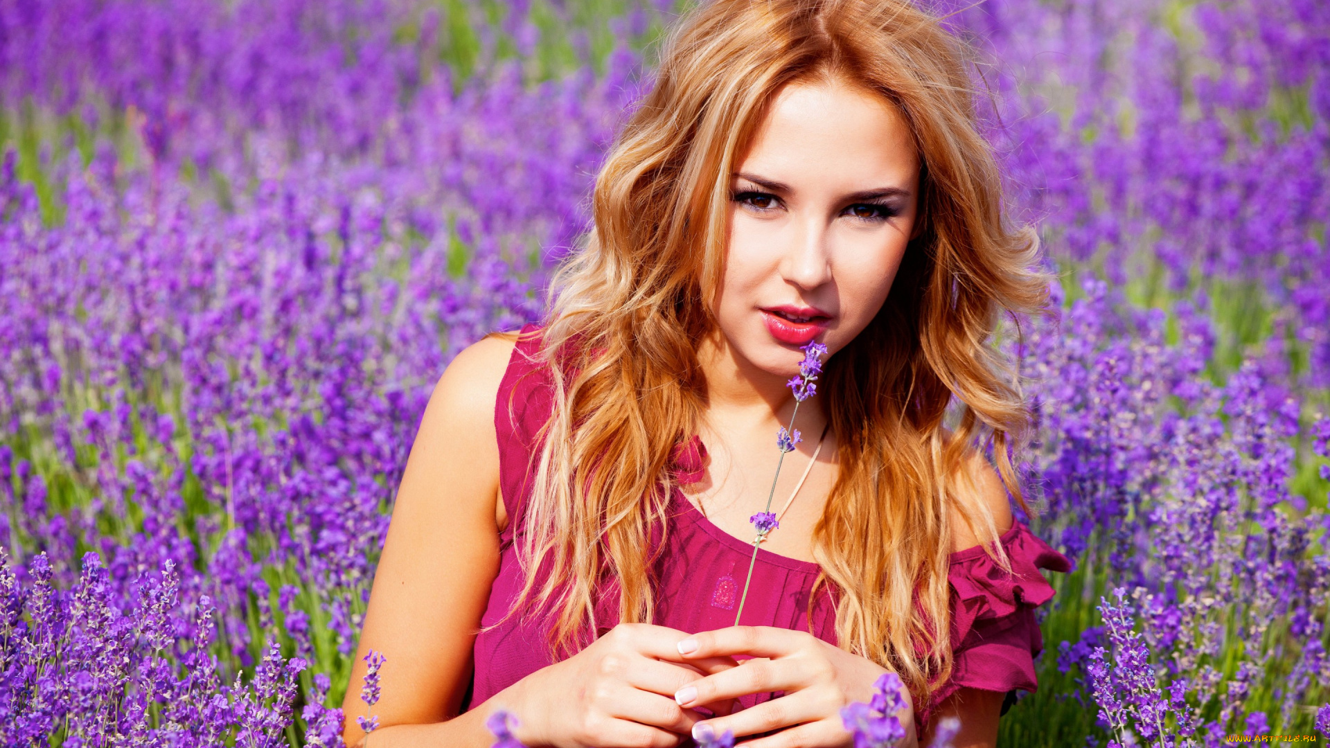 девушки, -unsort, , рыжеволосые, и, другие, девушка, фиолетовый, сиреневый, лаванда, цветы, поле