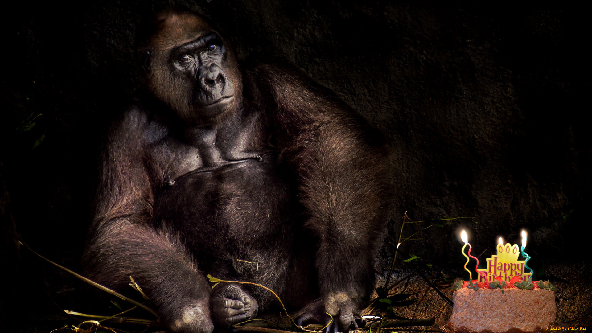 животные, обезьяны, обезьяна, день, рождения, праздник, торт