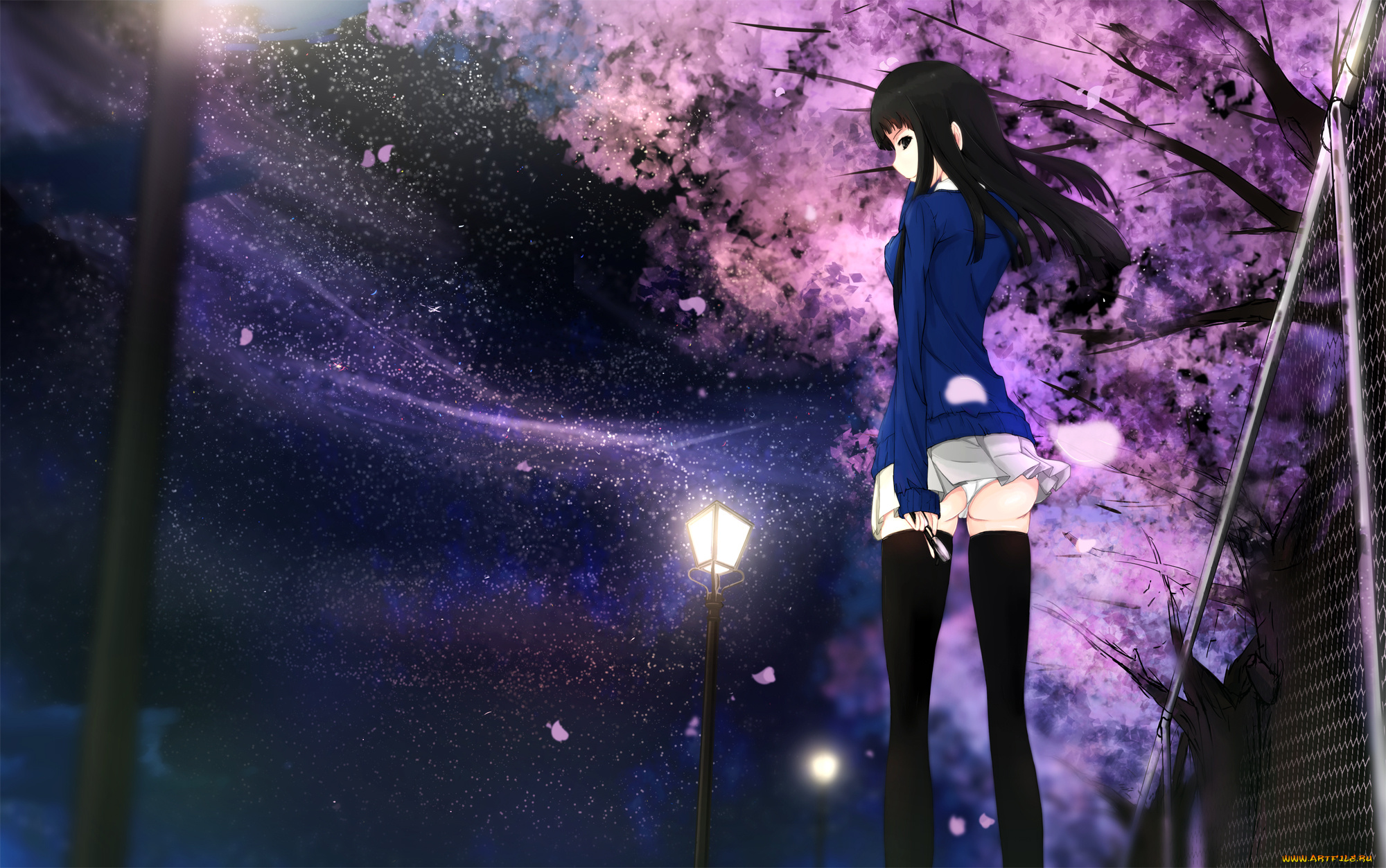 аниме, kikivi, , artbook, сакура, девушка, ночь, арт, kikivi