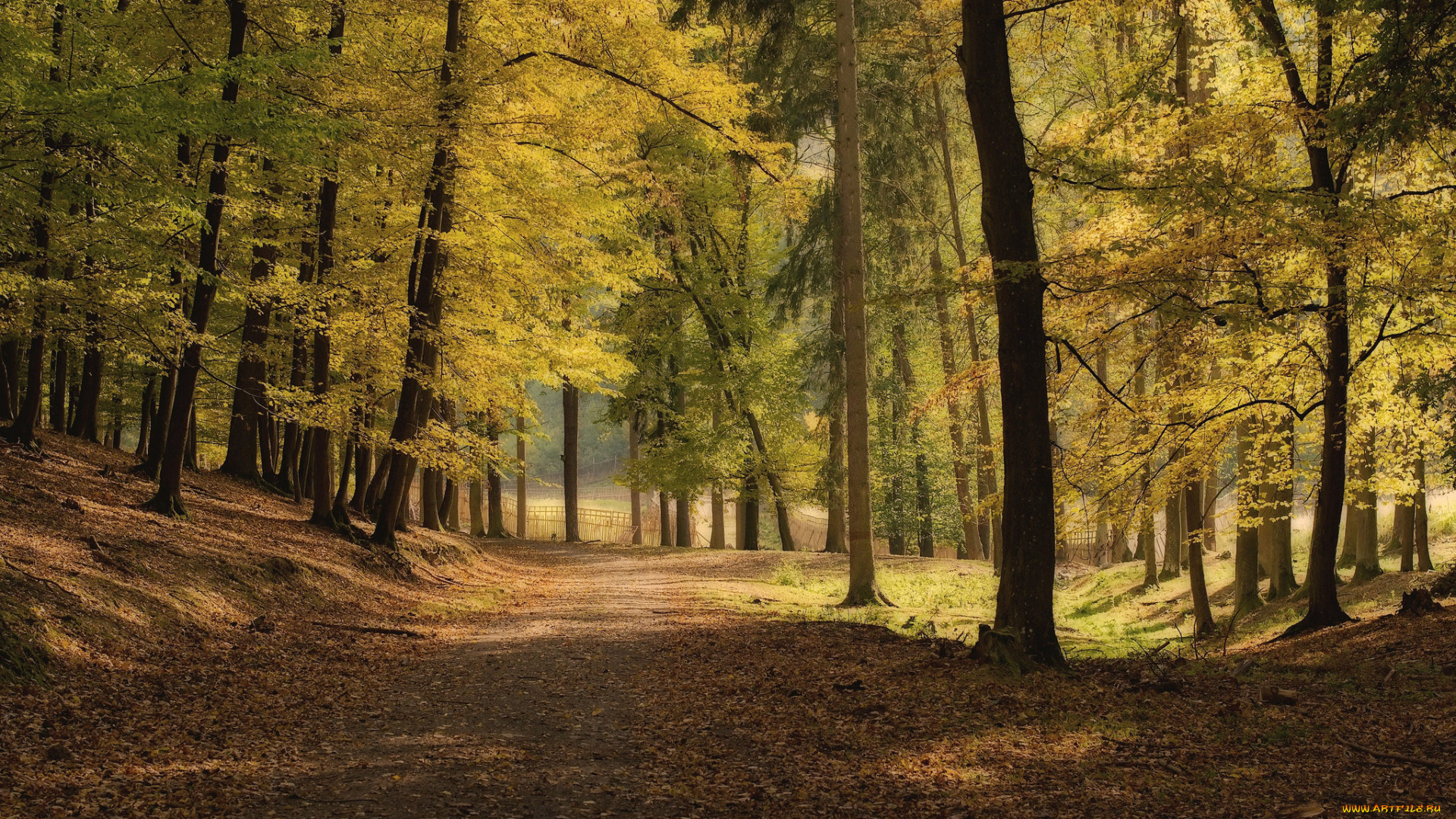 природа, дороги, тракт