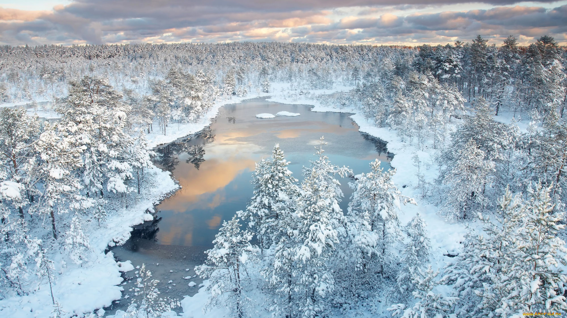 природа, реки, озера, лес, зима, река