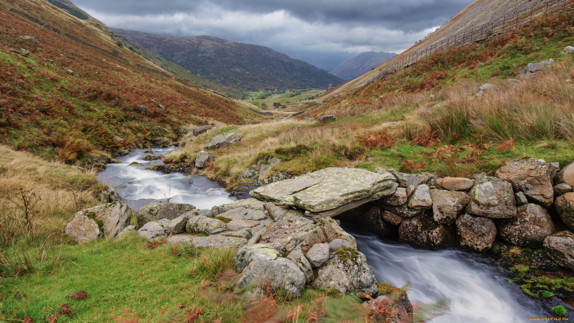 природа, реки, озера, река