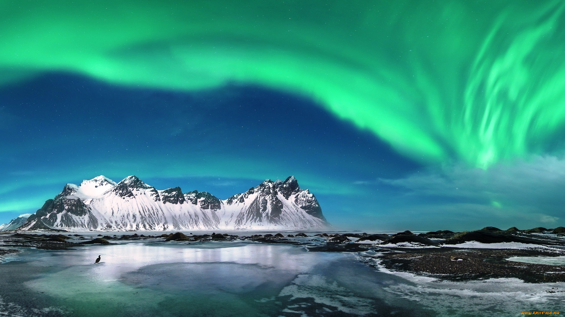 природа, северное, сияние, сияние, небо, птица, море, скалы