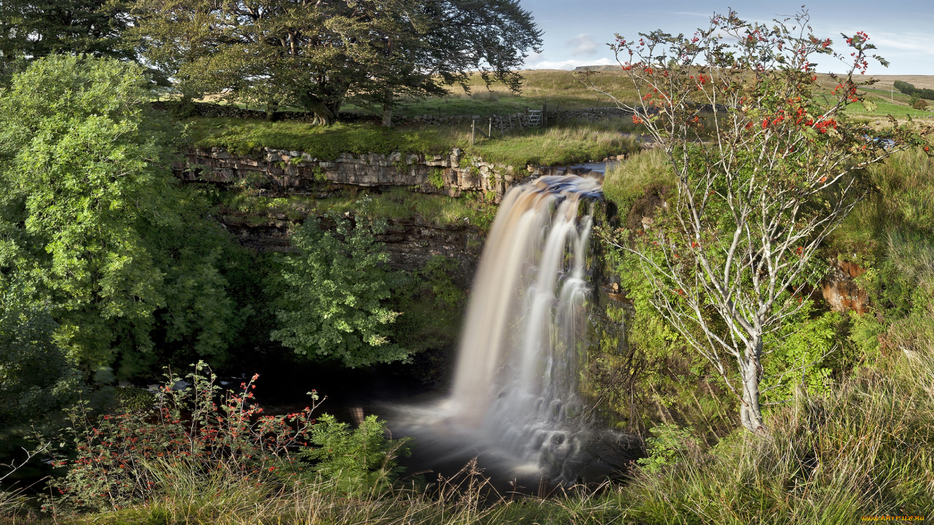 природа, водопады, водопад, лес, река