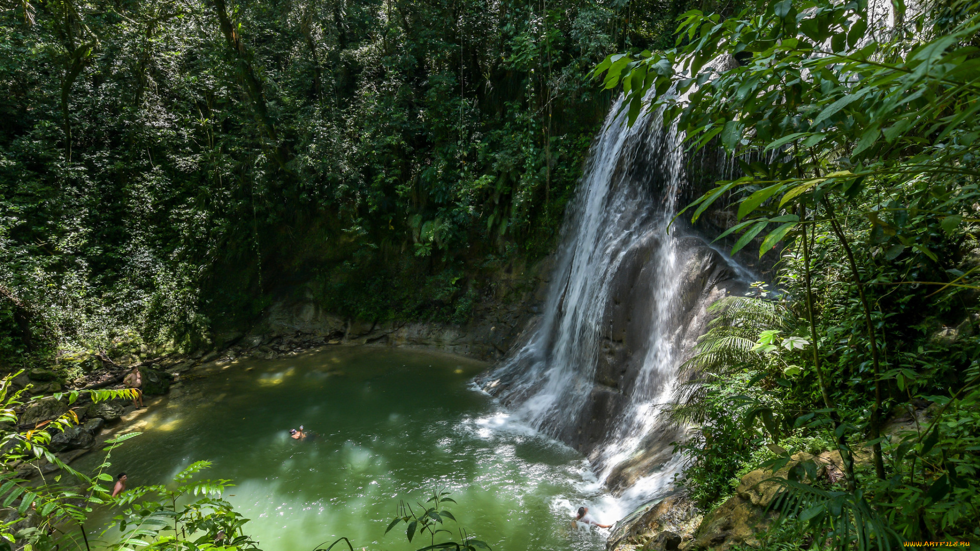 природа, водопады, водопад, река, лес