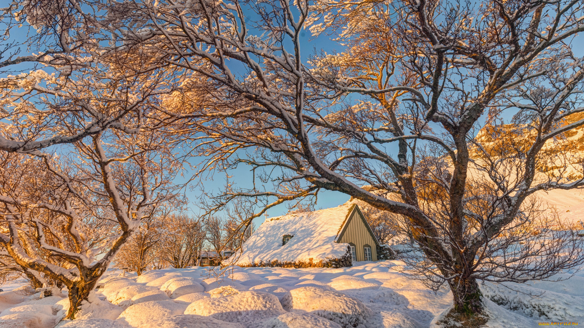 природа, зима, снег
