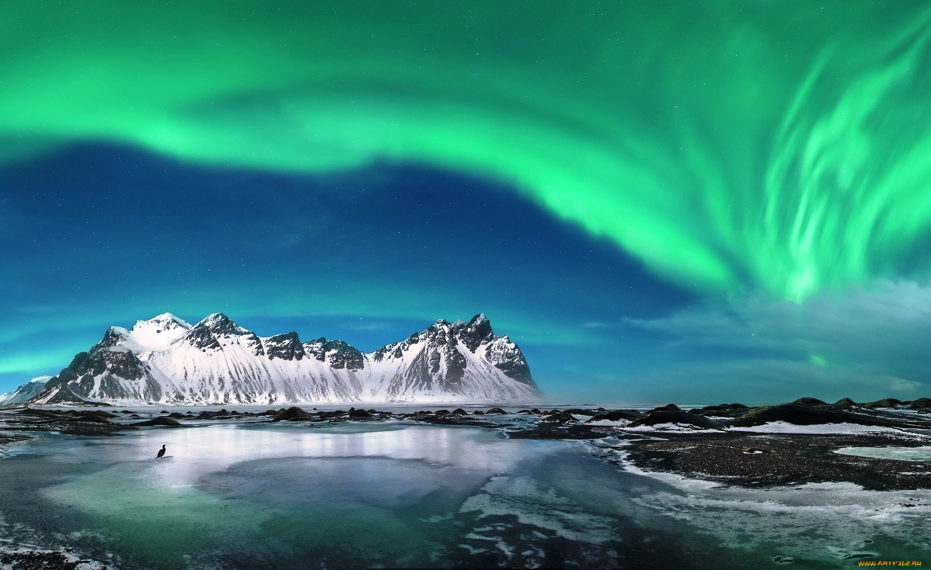 природа, северное, сияние, сияние, небо, птица, море, скалы