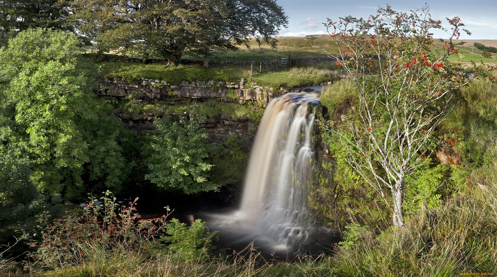 природа, водопады, водопад, лес, река