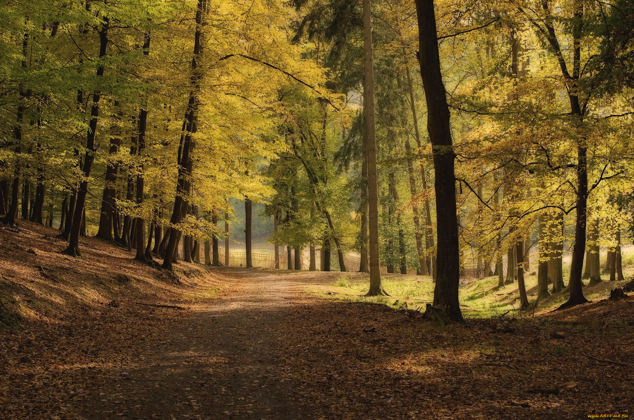 природа, дороги, тракт