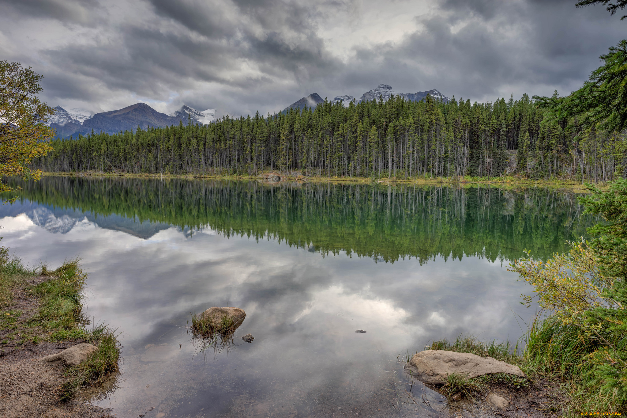 природа, реки, озера, река, лес, горы