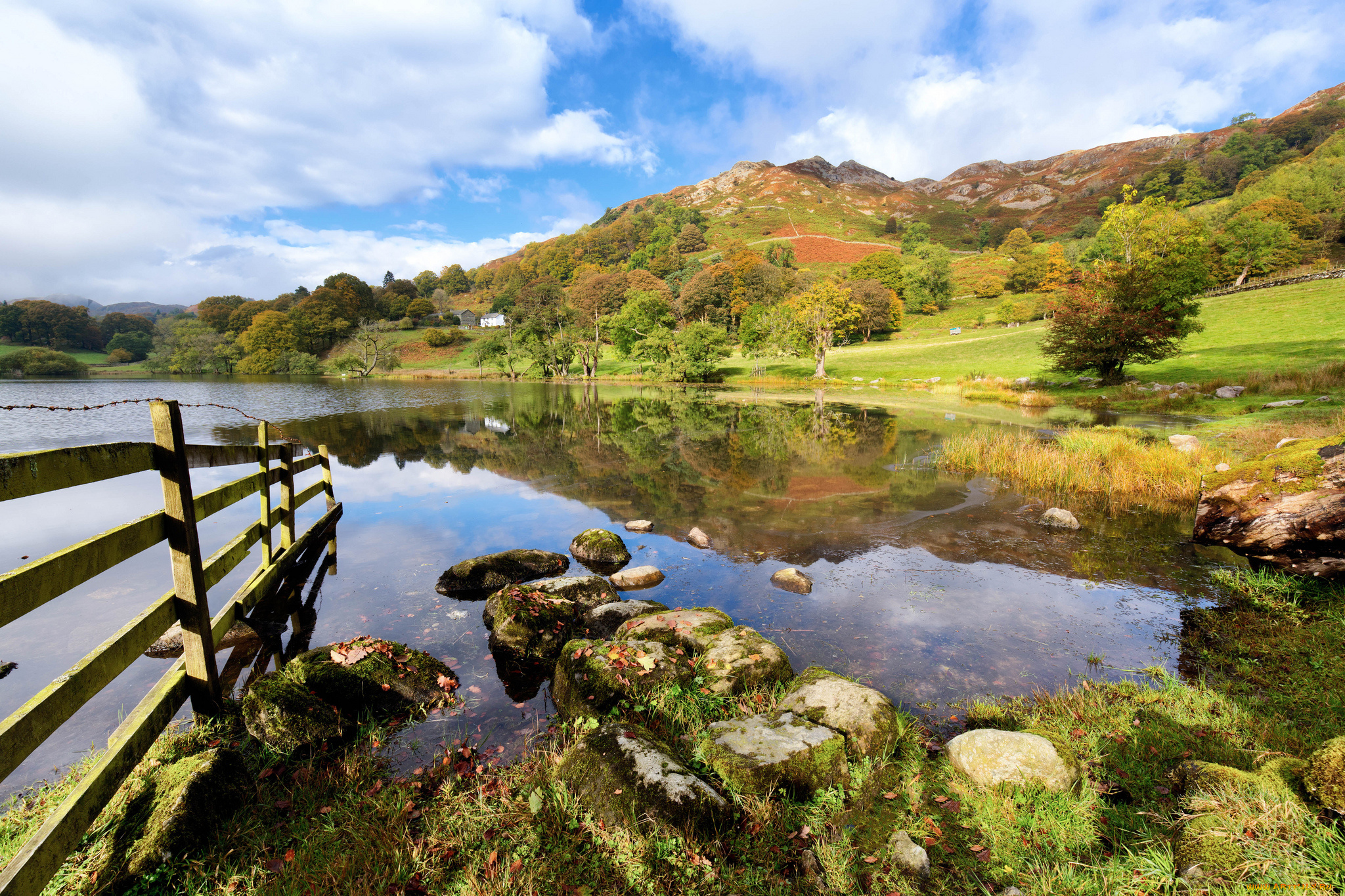 природа, реки, озера, река, лес