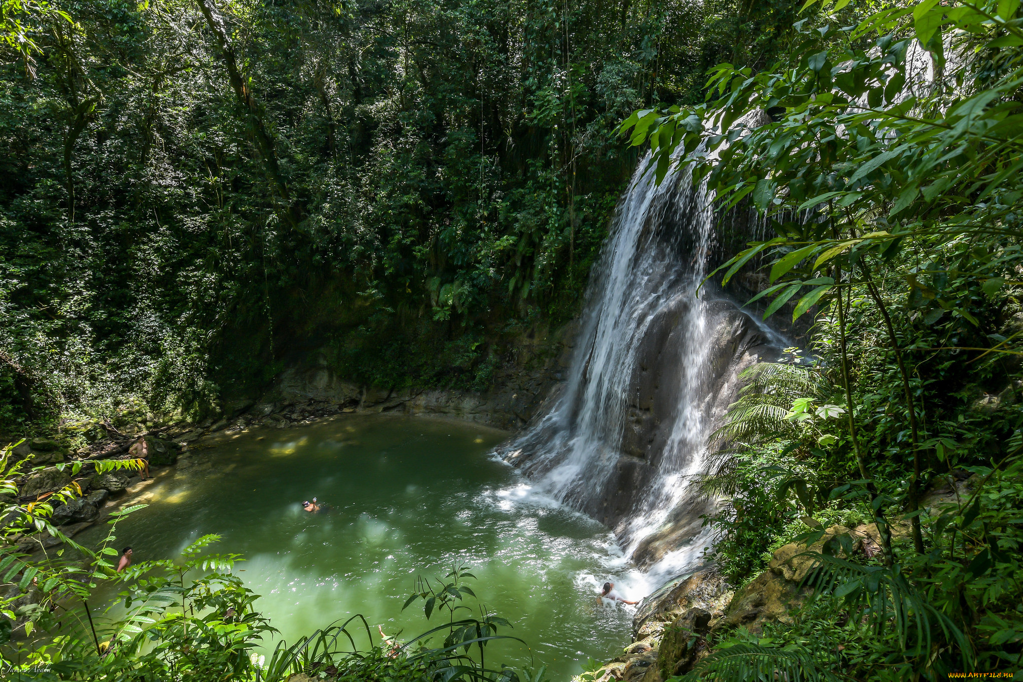 природа, водопады, водопад, река, лес