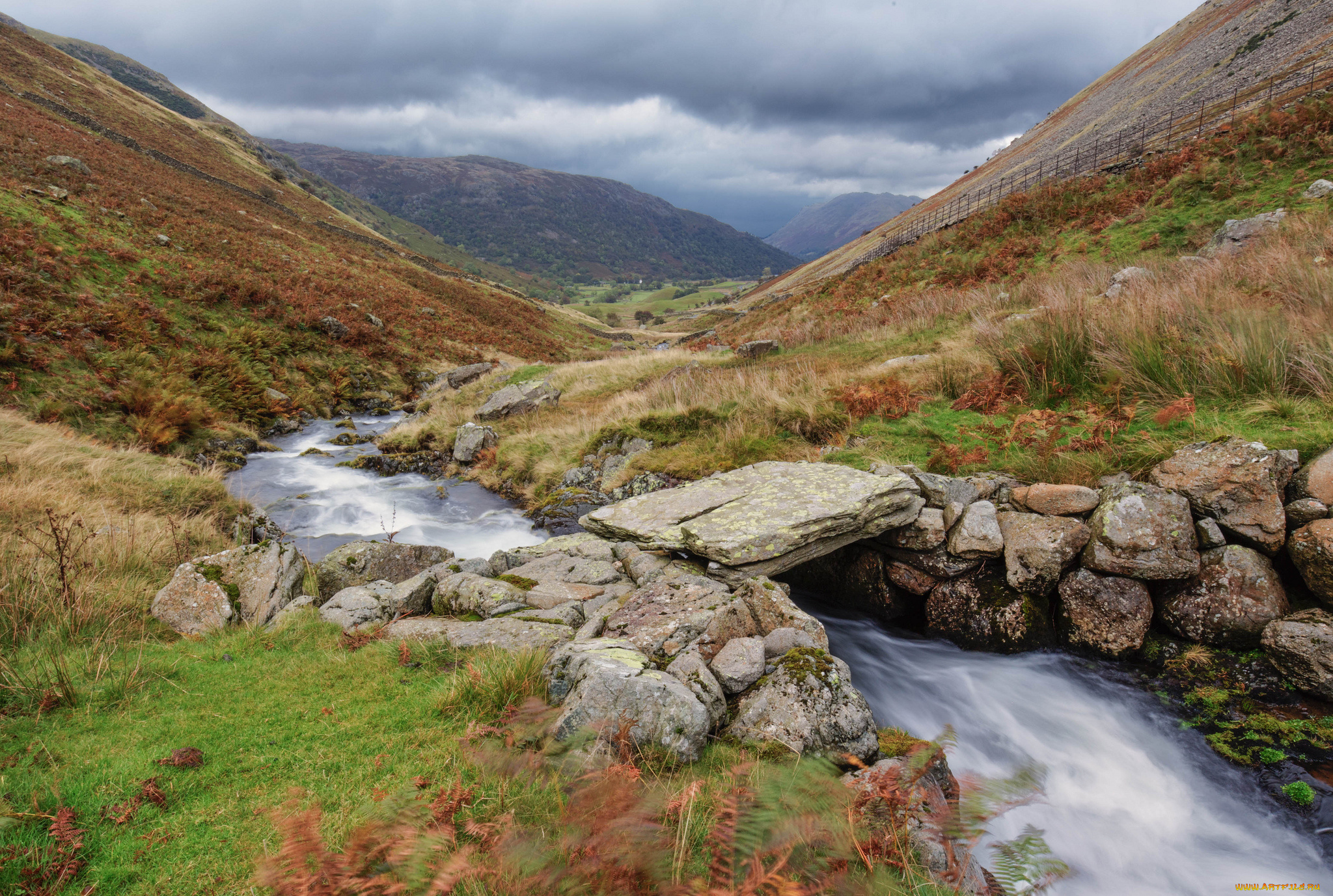 природа, реки, озера, река