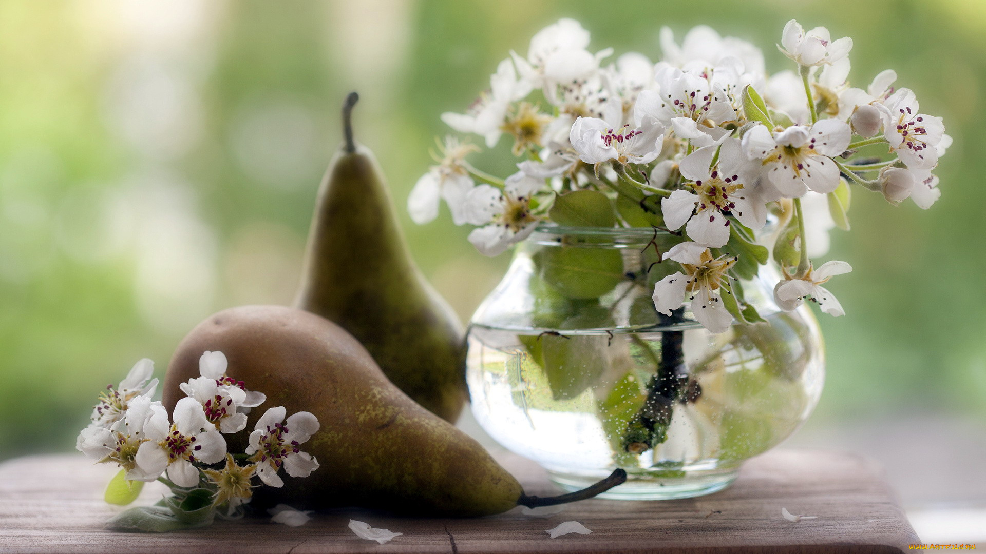 еда, груши, цветы, ваза
