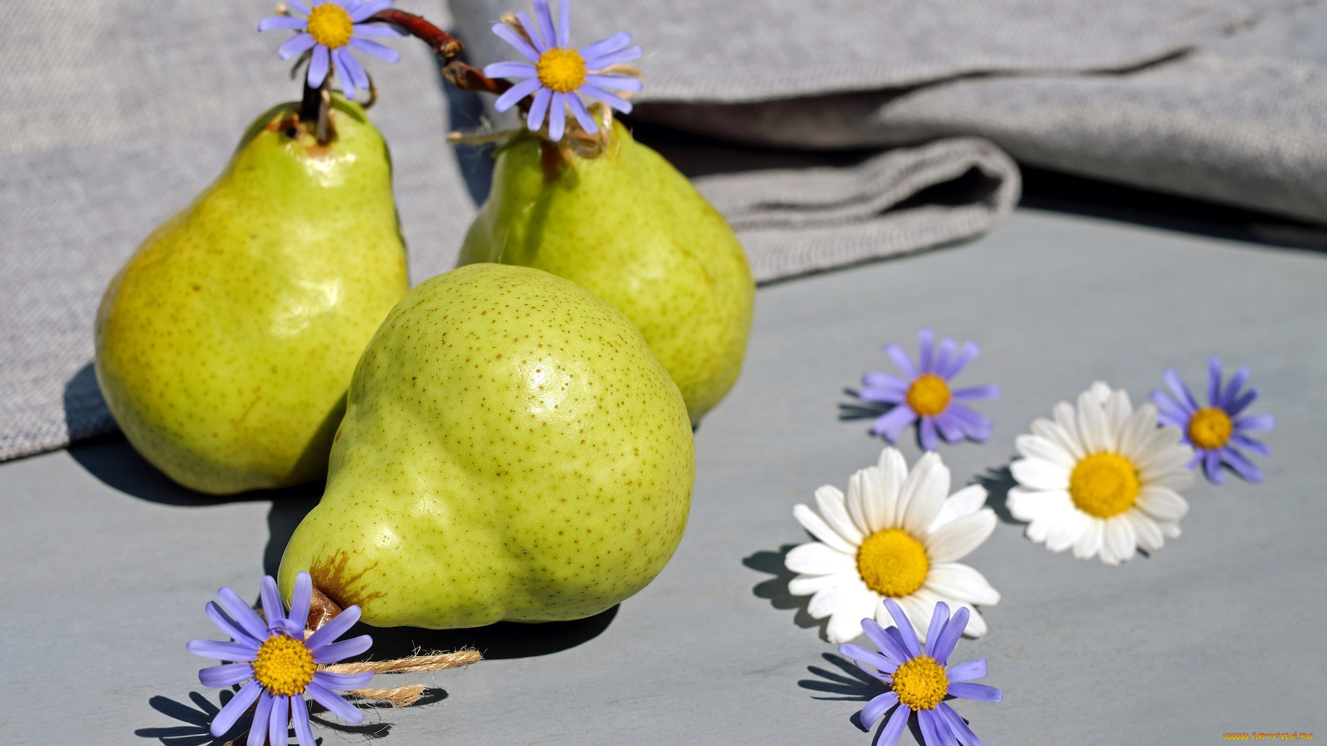 еда, груши, трио, ромашки, копозиция