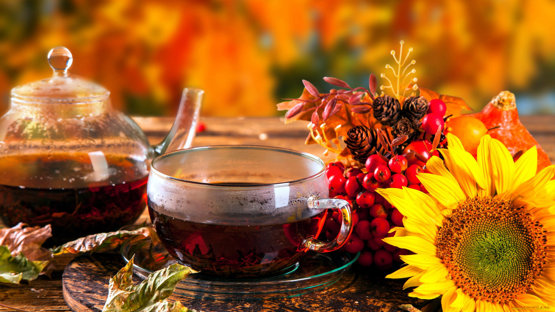 еда, напитки, , Чай, подсолнух, рябина, чай, шишки, листья