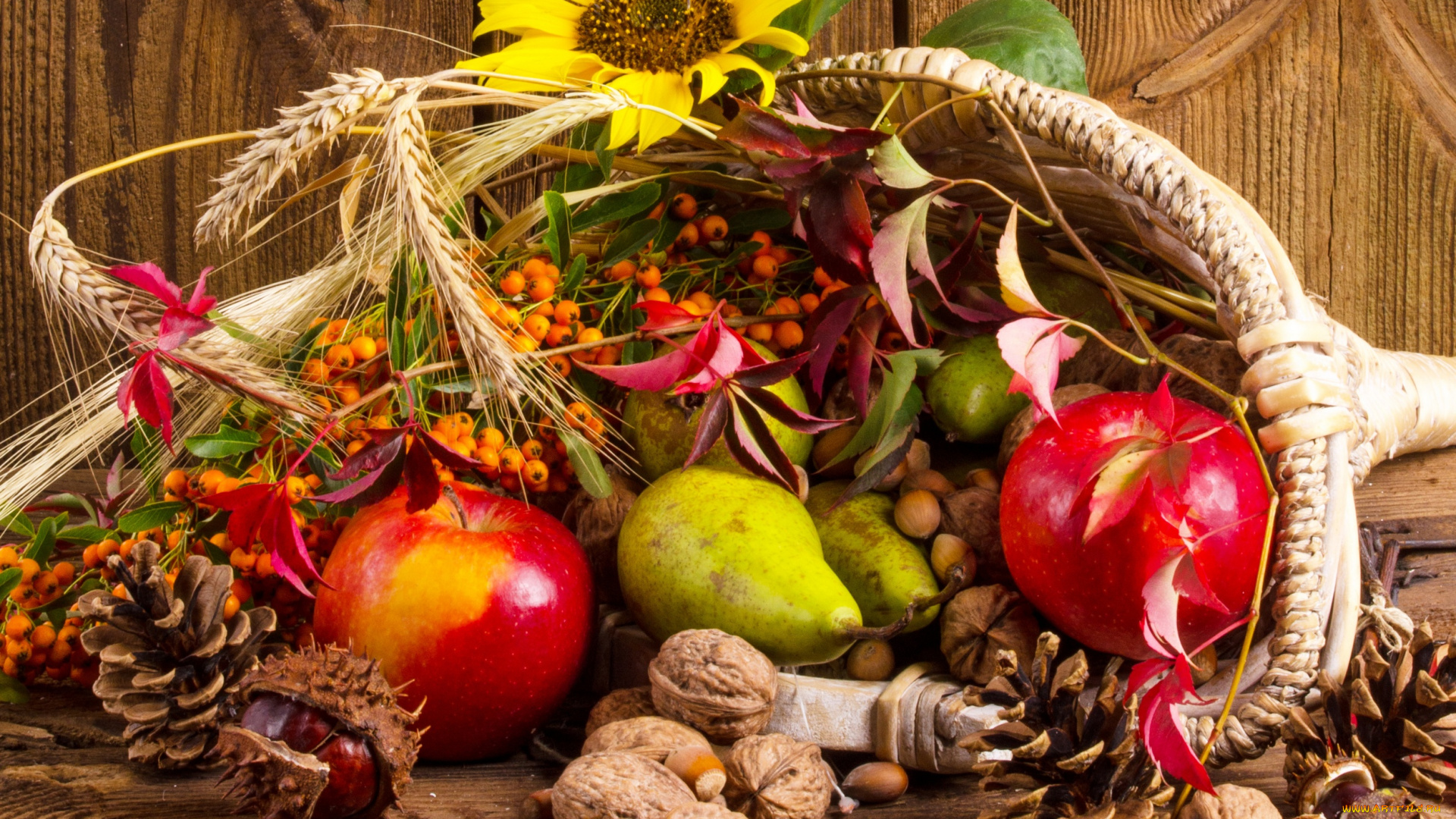 еда, натюрморт, фрукты, дары, осени, орехи, корзинка, цветы, шишки, рябина