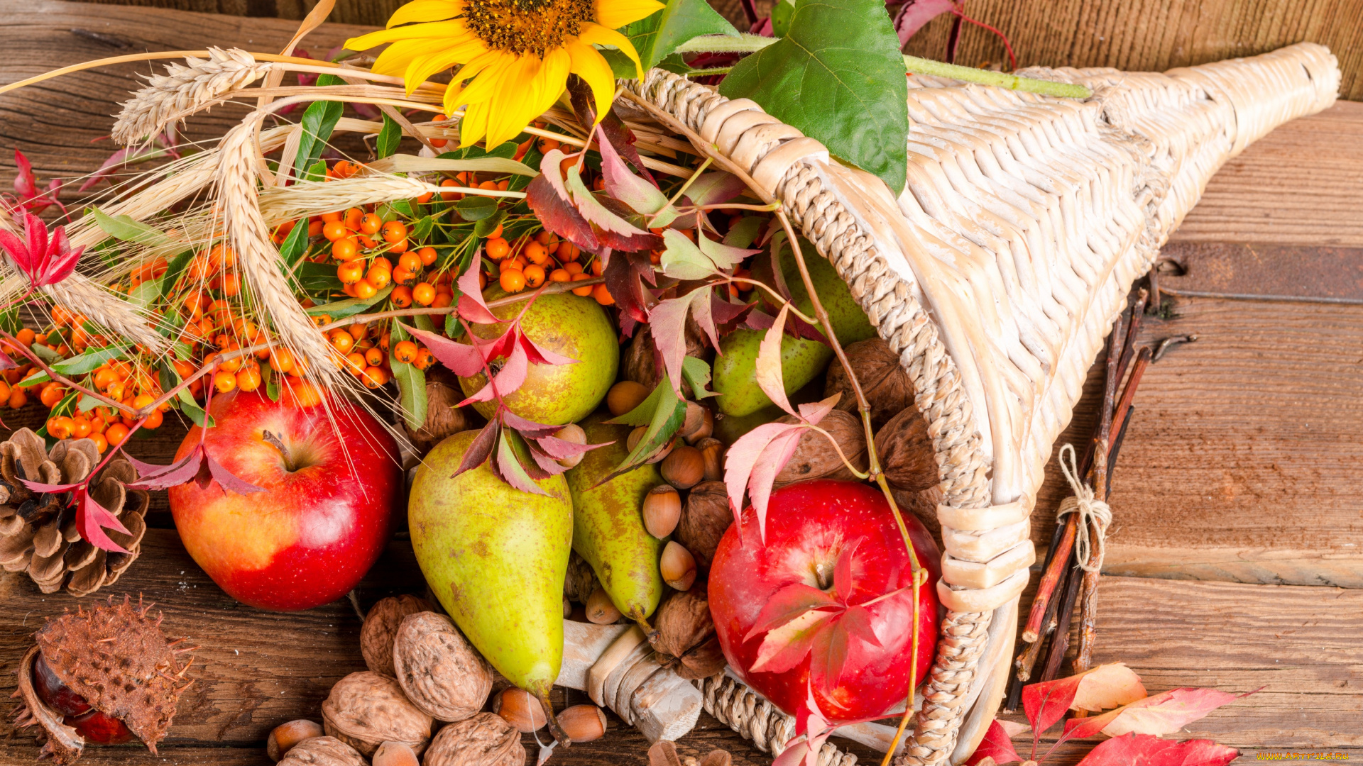 еда, натюрморт, орехи, дары, осени, цветы, корзинка, шишки, рябина, фрукты