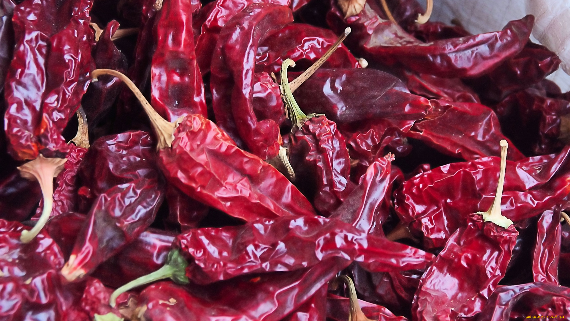 еда, перец, острый, стручки