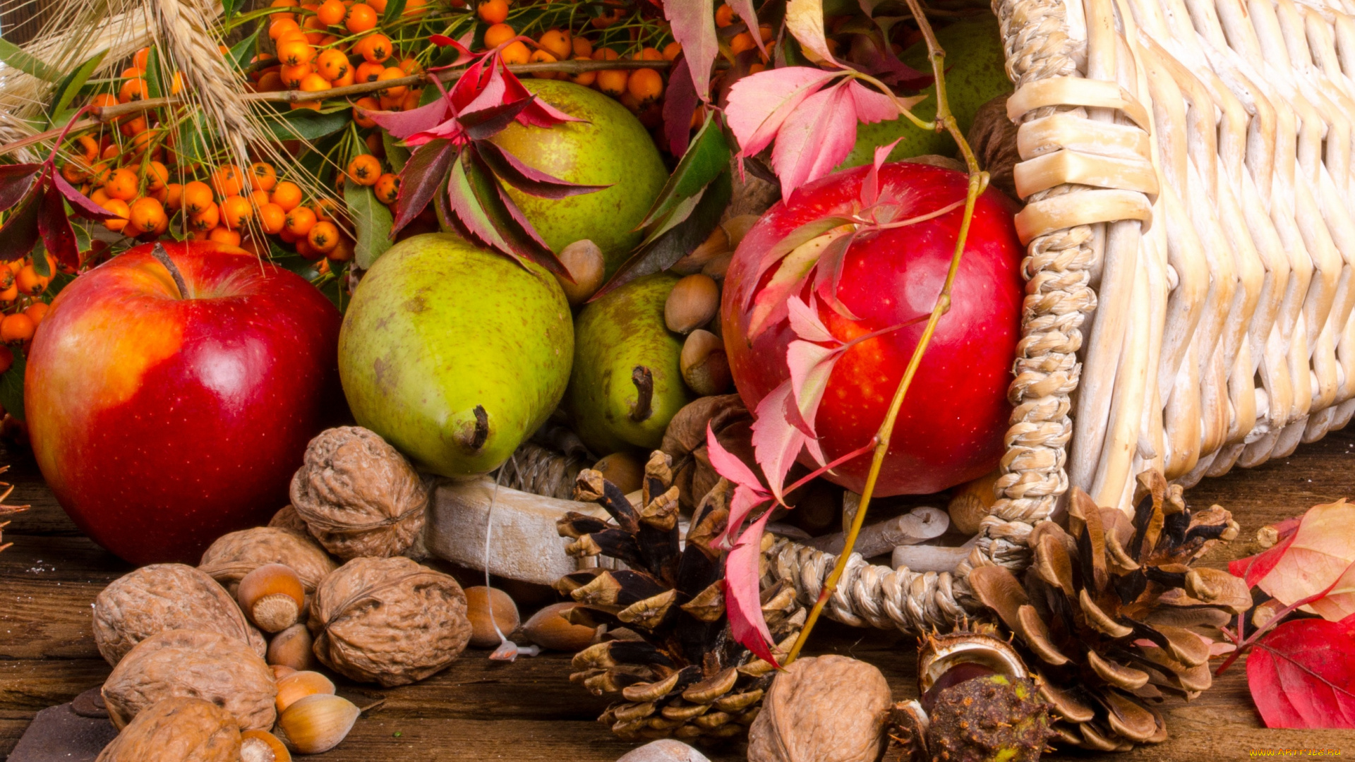 еда, разное, шишки, рябина, фрукты, орехи, дары, осени, цветы, корзинка