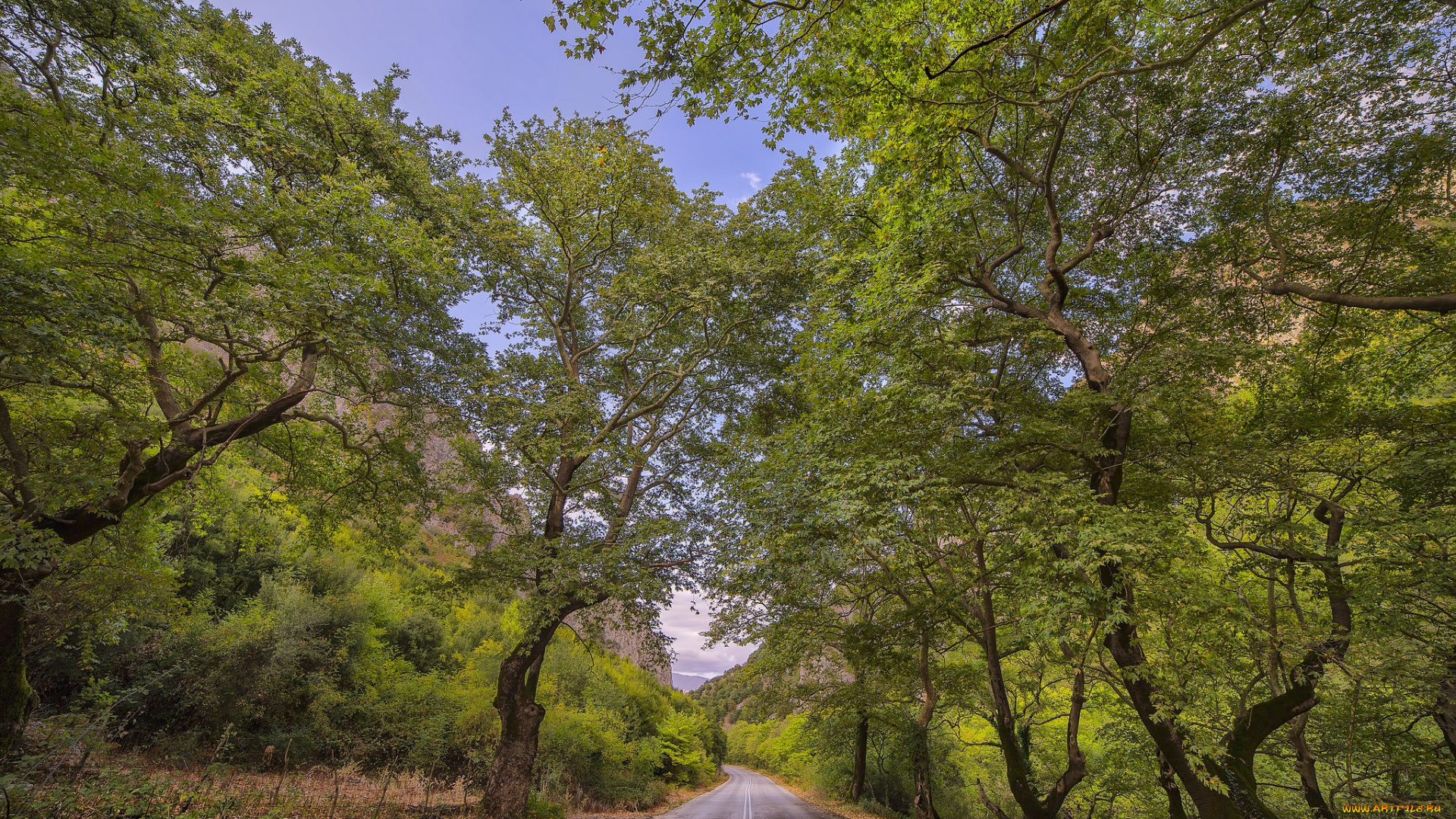 природа, дороги, простор