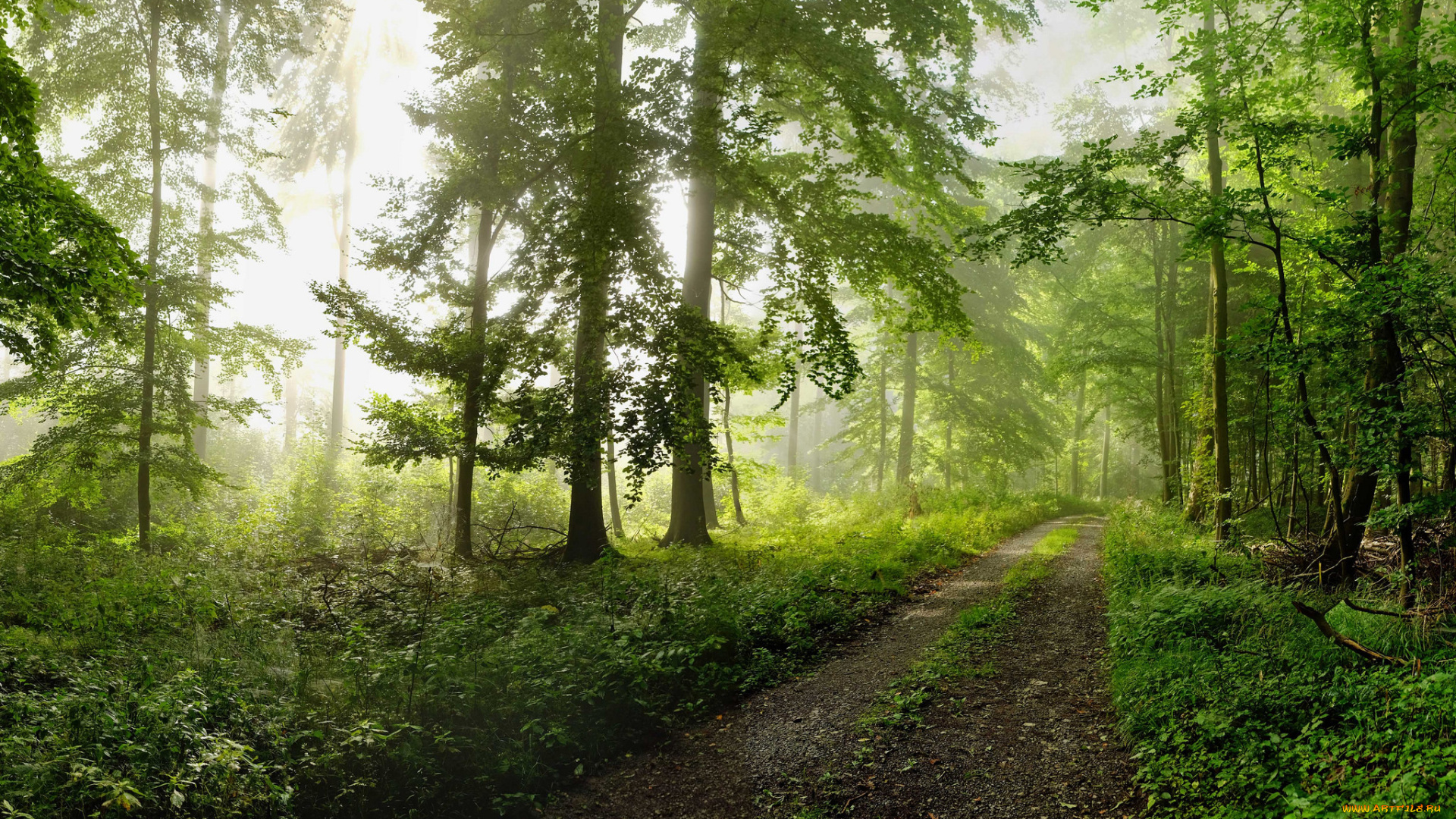 природа, дороги, простор