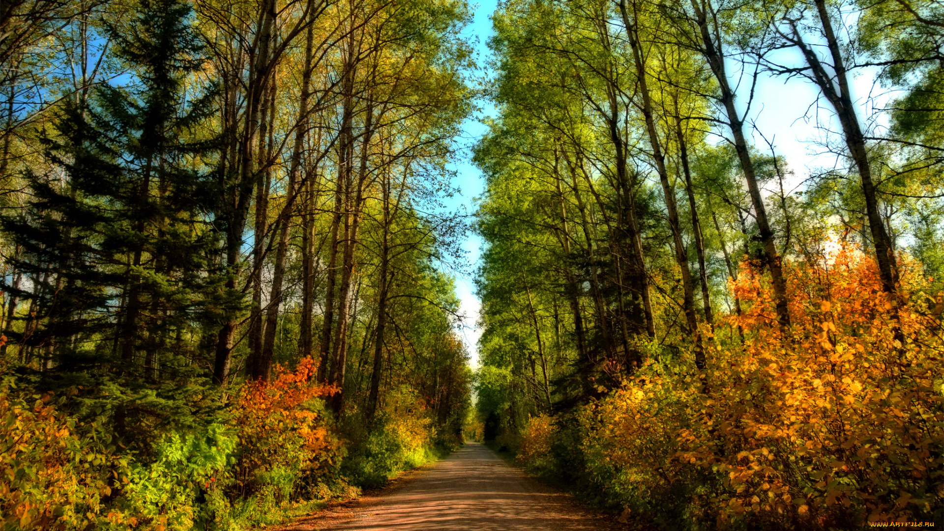 природа, дороги, простор