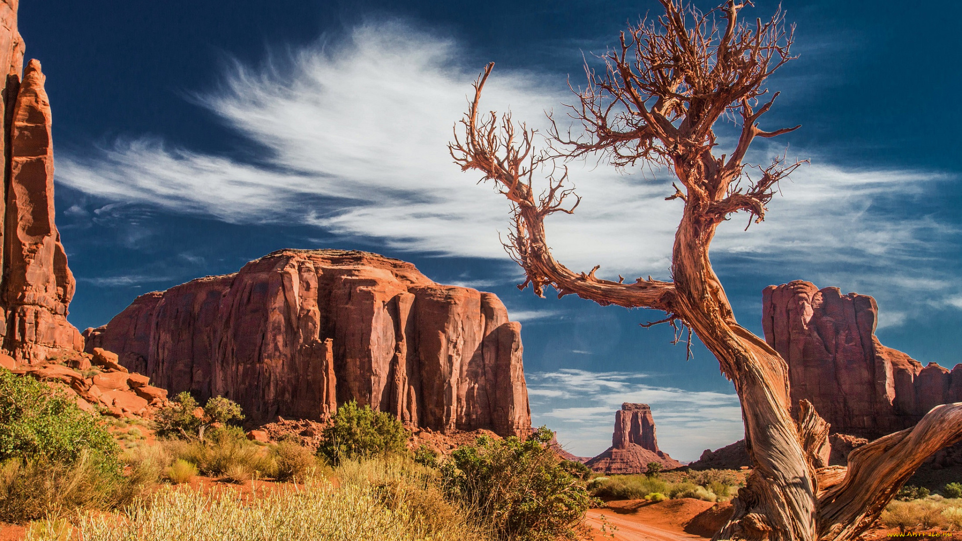 природа, пустыни, простор