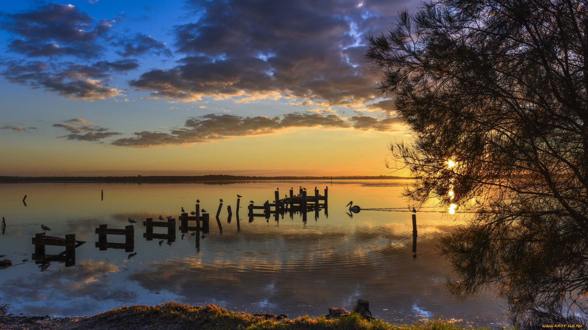 природа, реки, озера, простор