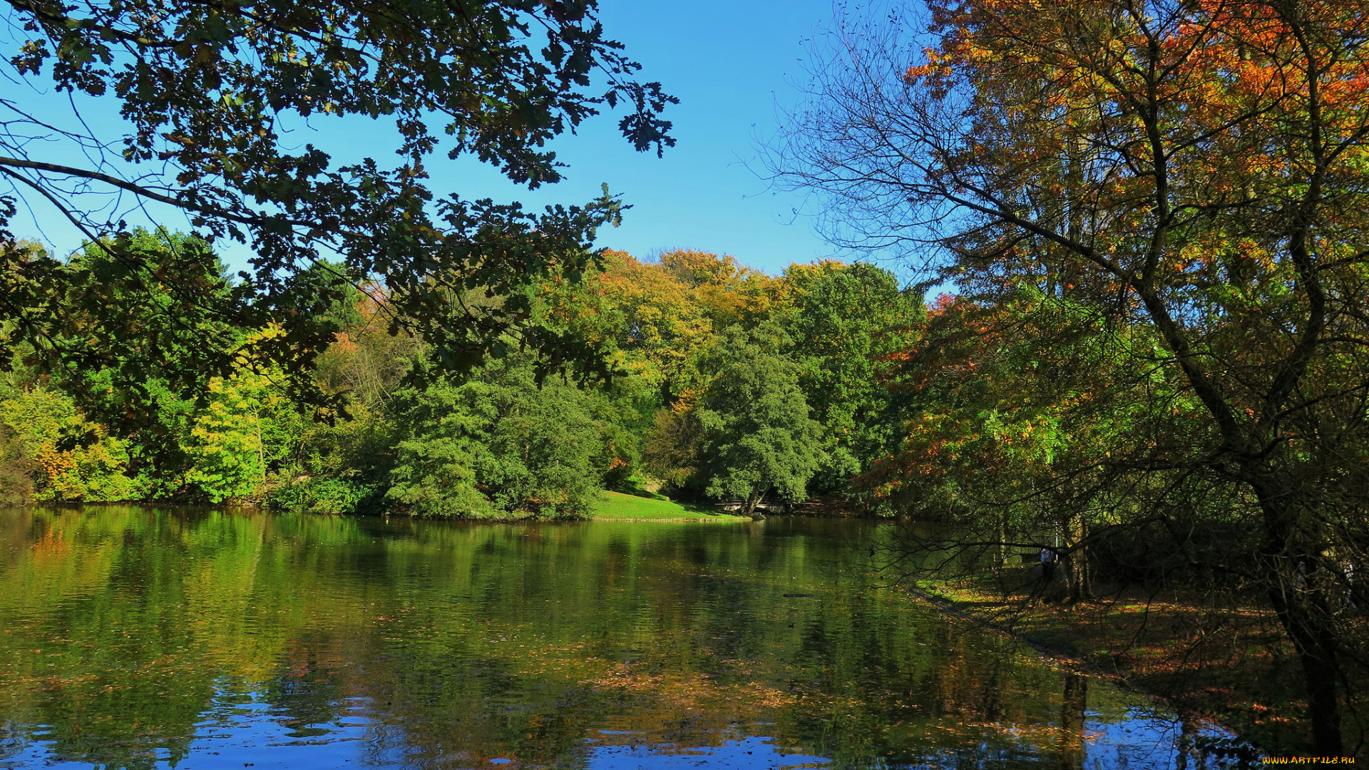 природа, реки, озера, простор