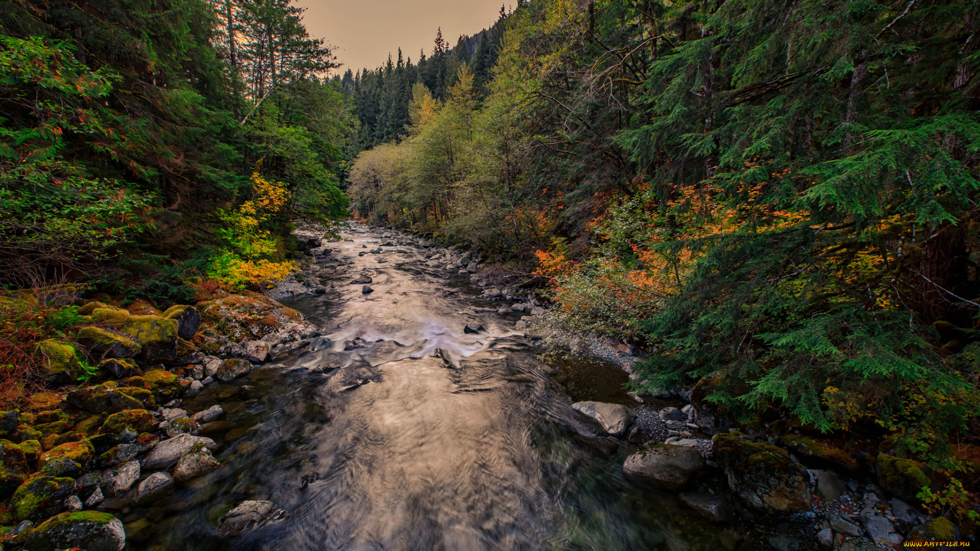 природа, реки, озера, простор